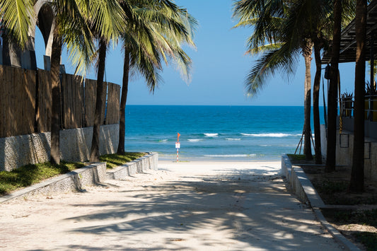 Pathway leads to a beautiful beach with palm trees.
