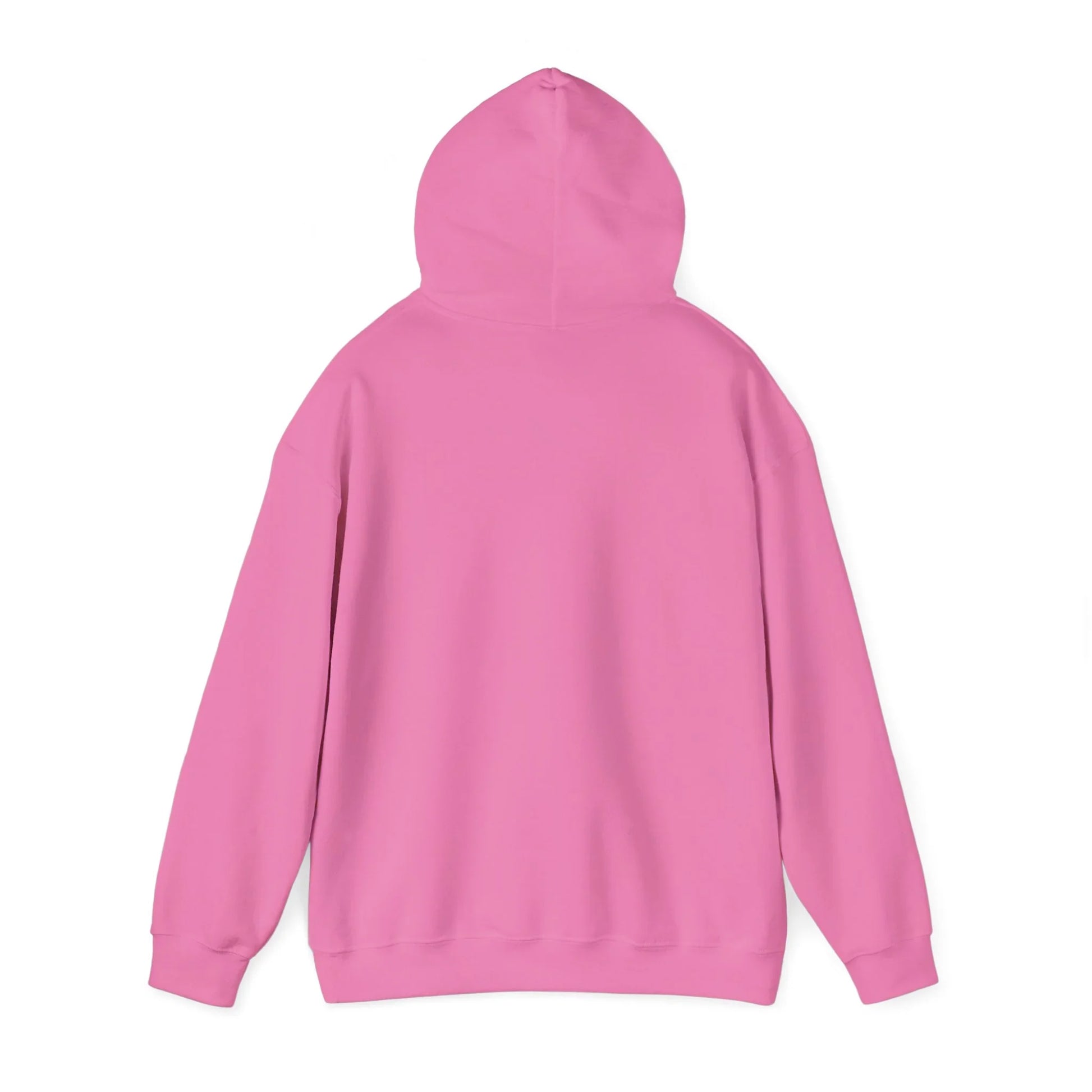 Baseball Field Hoodie - Oceanfront Products