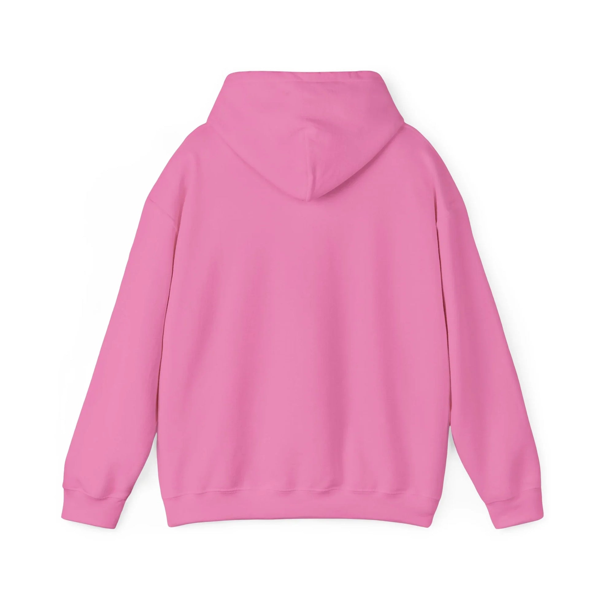 Baseball Field Hoodie - Oceanfront Products