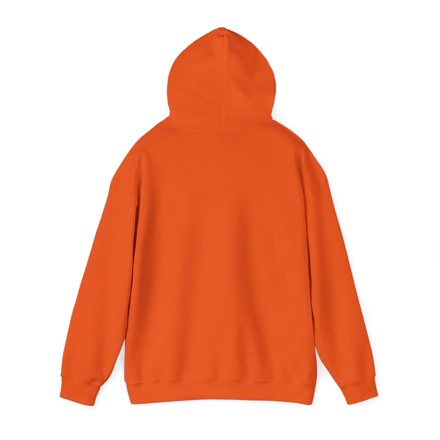 Baseball Field Hoodie - Oceanfront Products