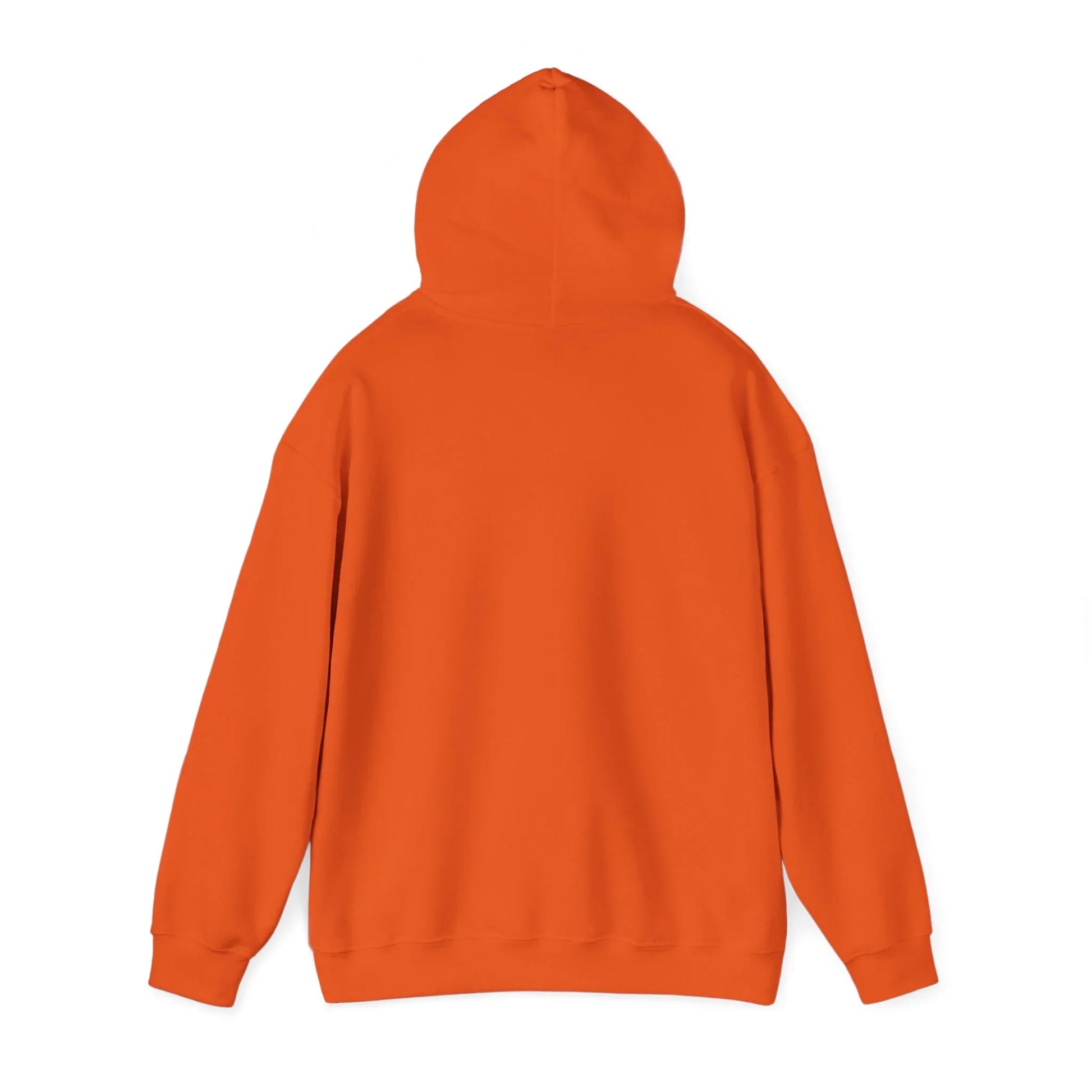 Baseball Field Hoodie - Oceanfront Products