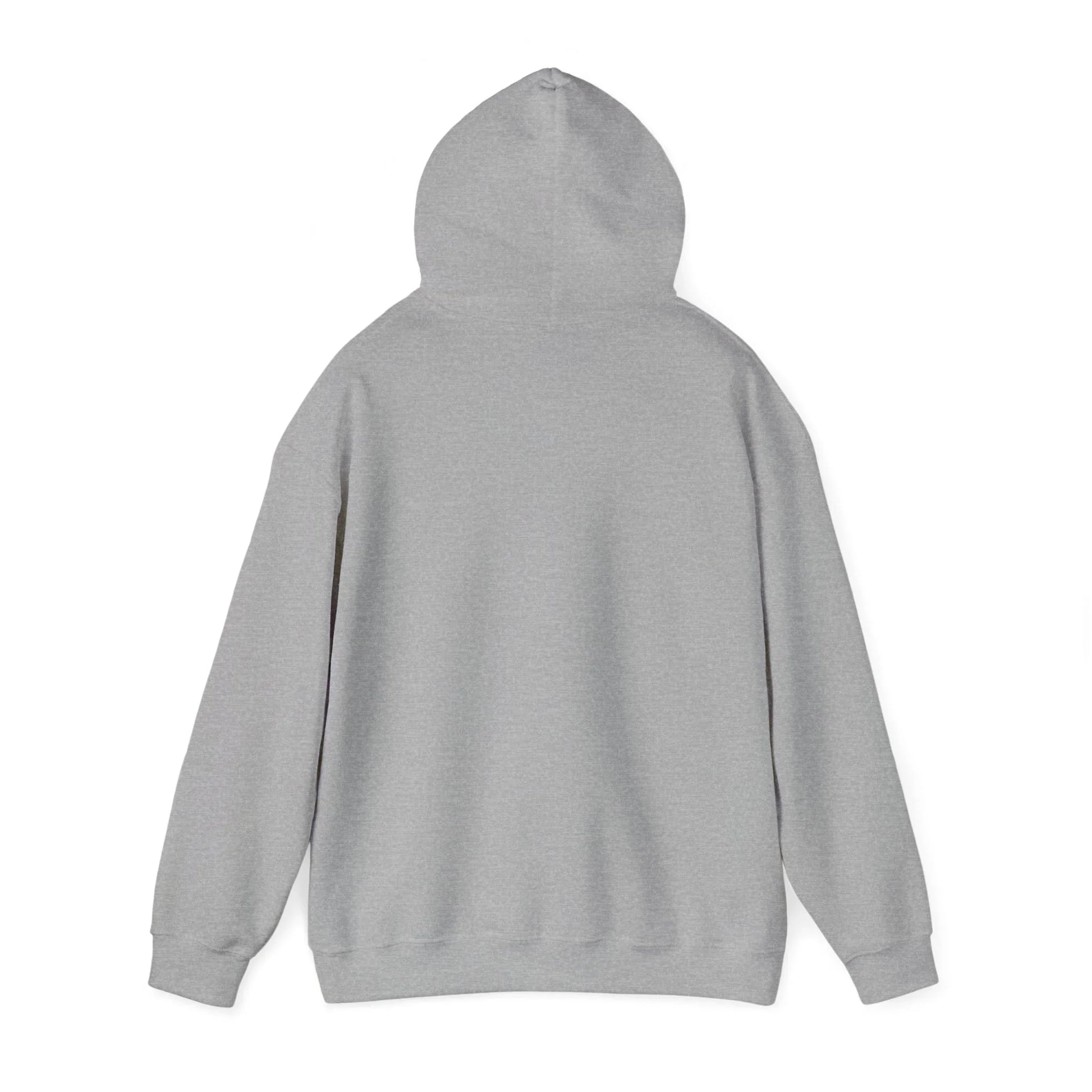 Baseball Field Hoodie - Oceanfront Products