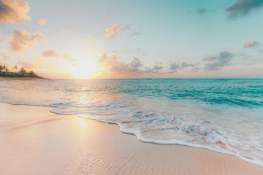The Grand Caribbean Cruise: A 7-Day Family Voyage